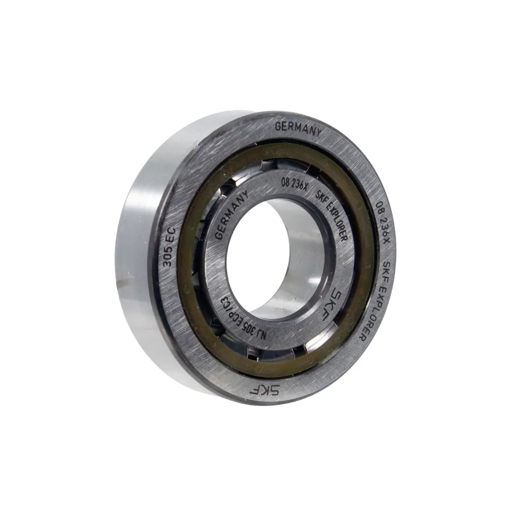 SKF NJ305-ECP C3