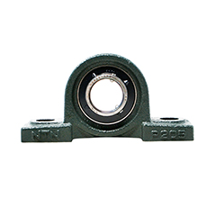 UCP205-100 D1