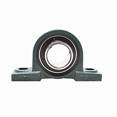 UCP210 D1
