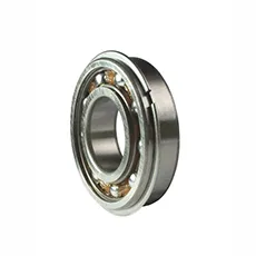 SKF 213 ZNR