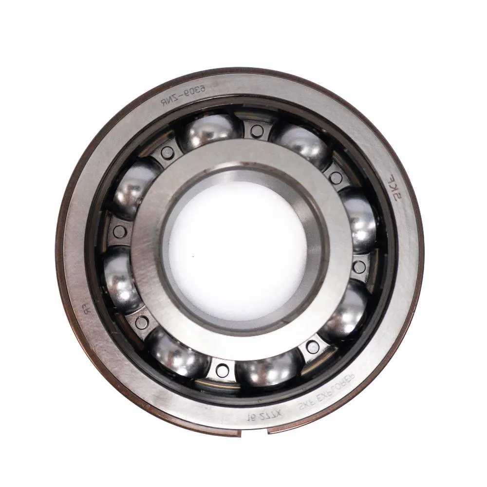 SKF 6309 ZNR