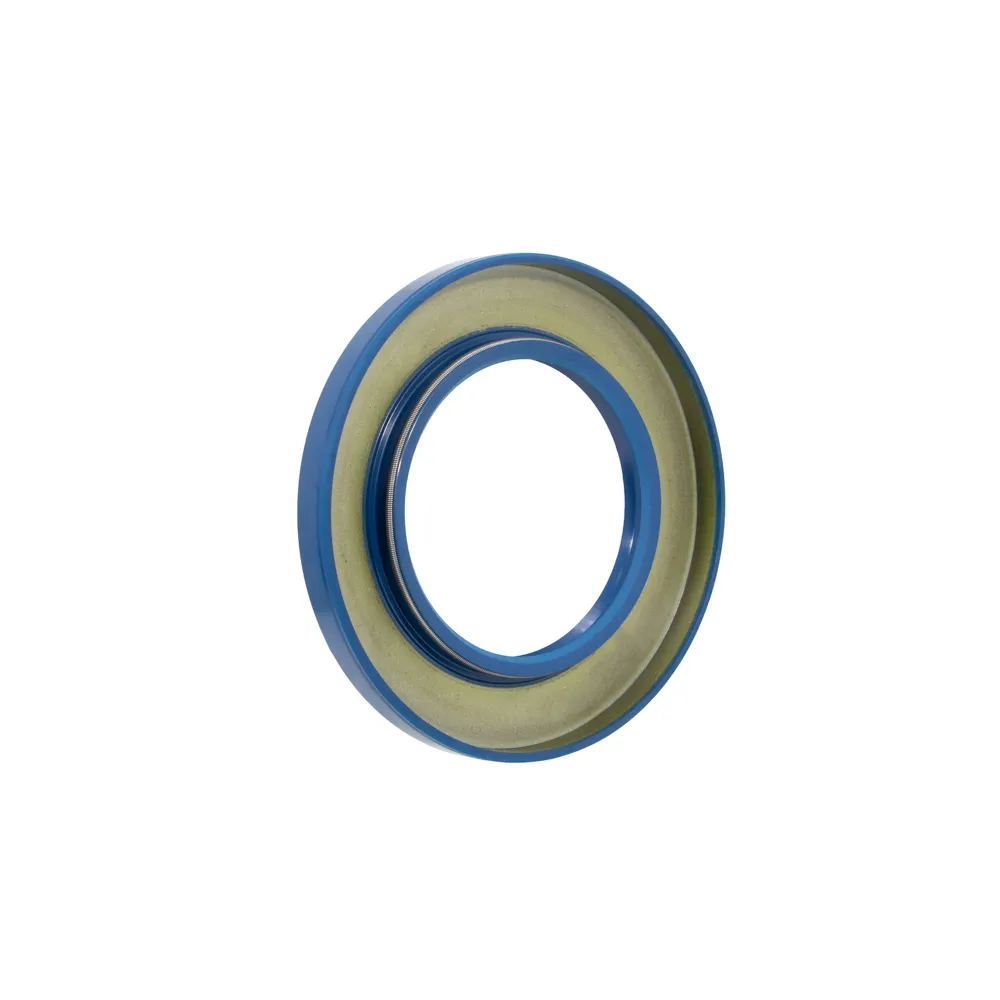 60X100X10 TC NBR AZUL