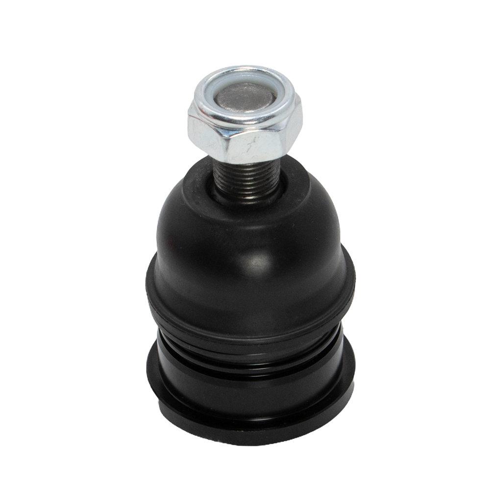 CBN-31 (CB0315)