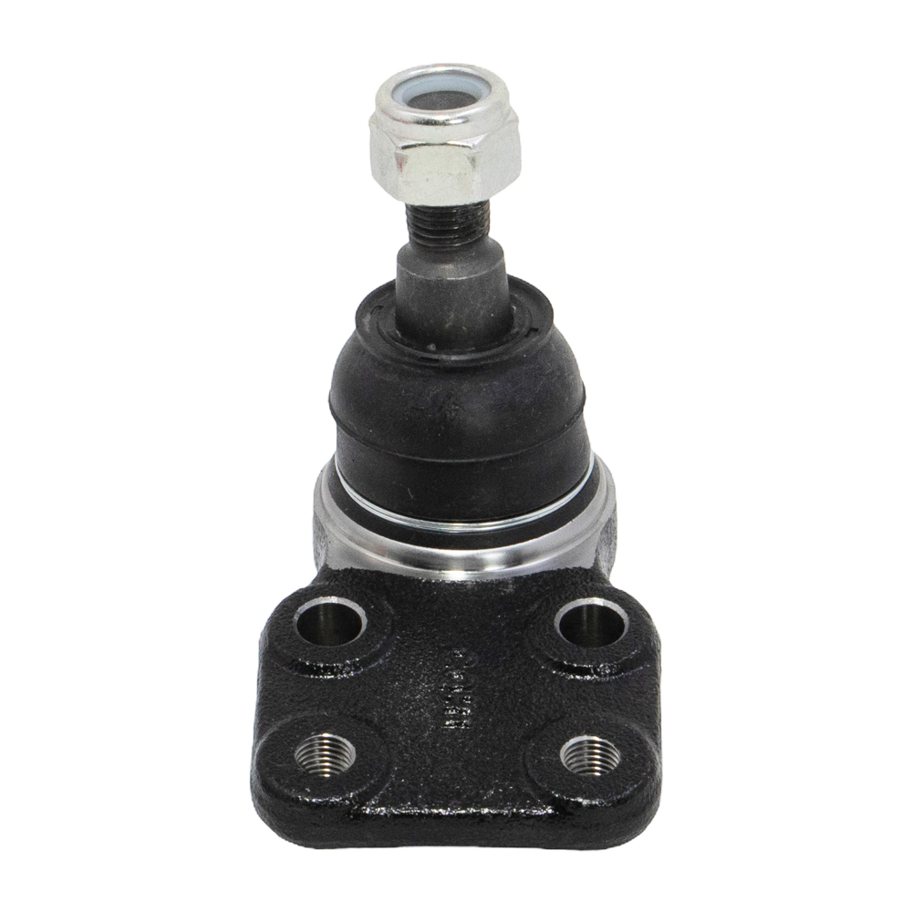 CBIS-6 (CB0146)