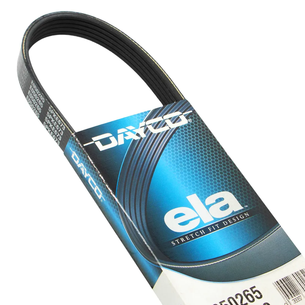 5PK-0673EE (elastica)