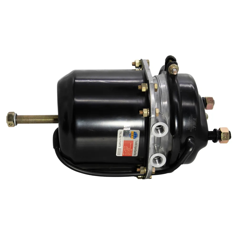 22035 Pulmon T24/24 DP