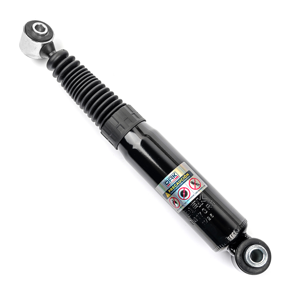 DG173RS Amort PG. 206 2.0 01-09