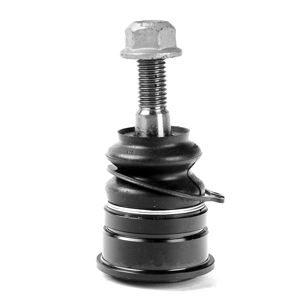 CBF-33 Rotula Sup Lh/rh