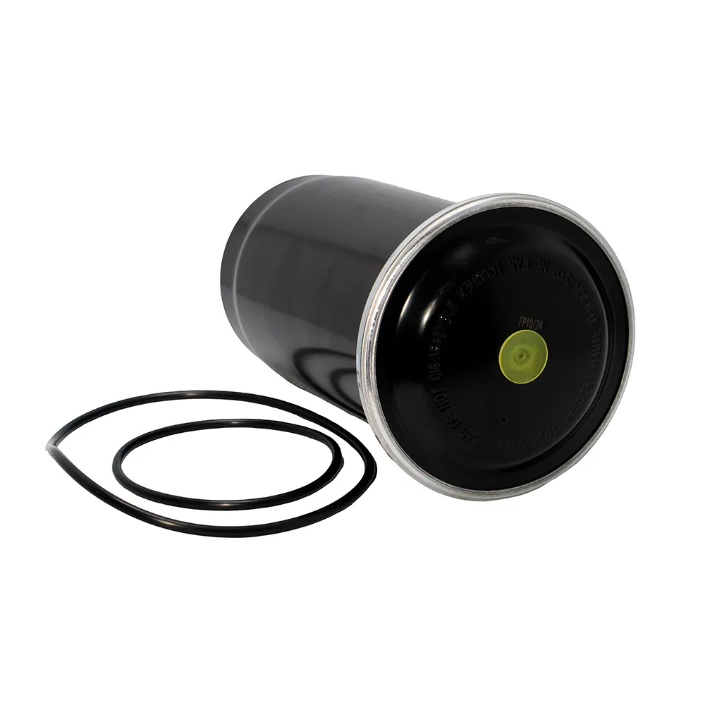 R955107796N Filtro Cartucho