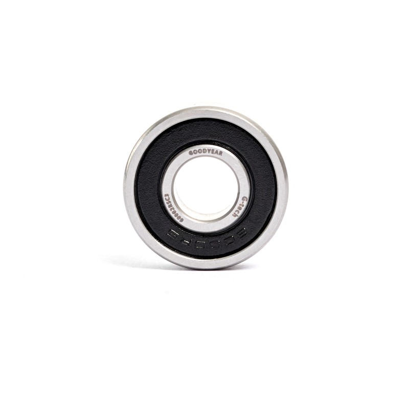 6000-2RS-C3