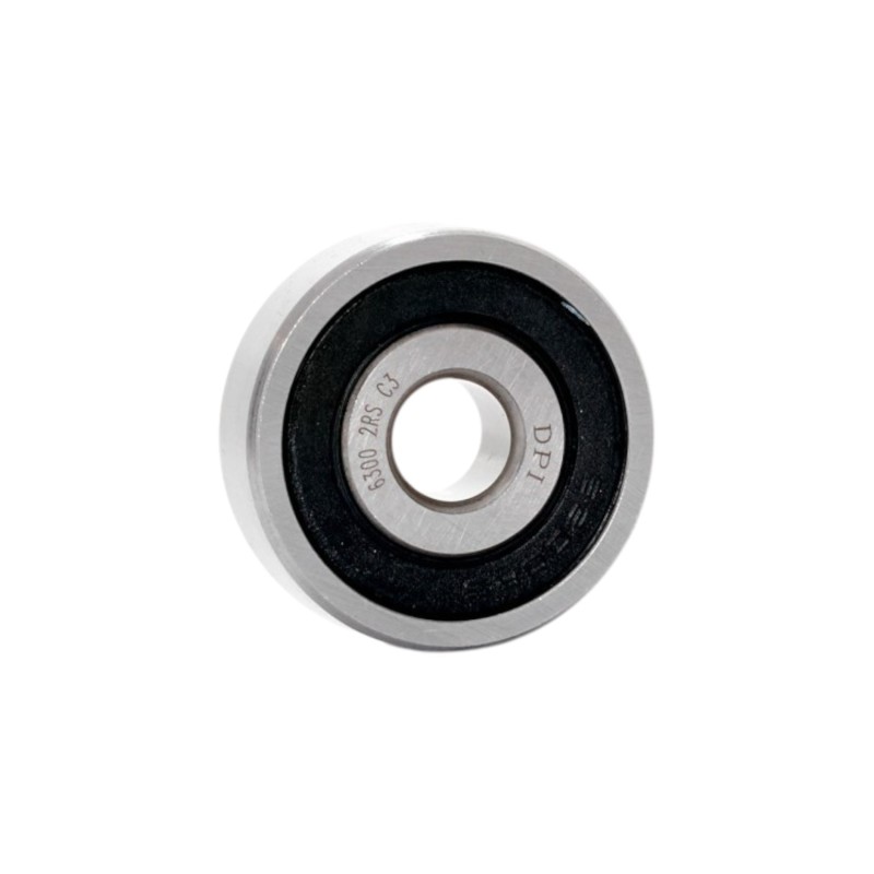 6300-2RS-C3