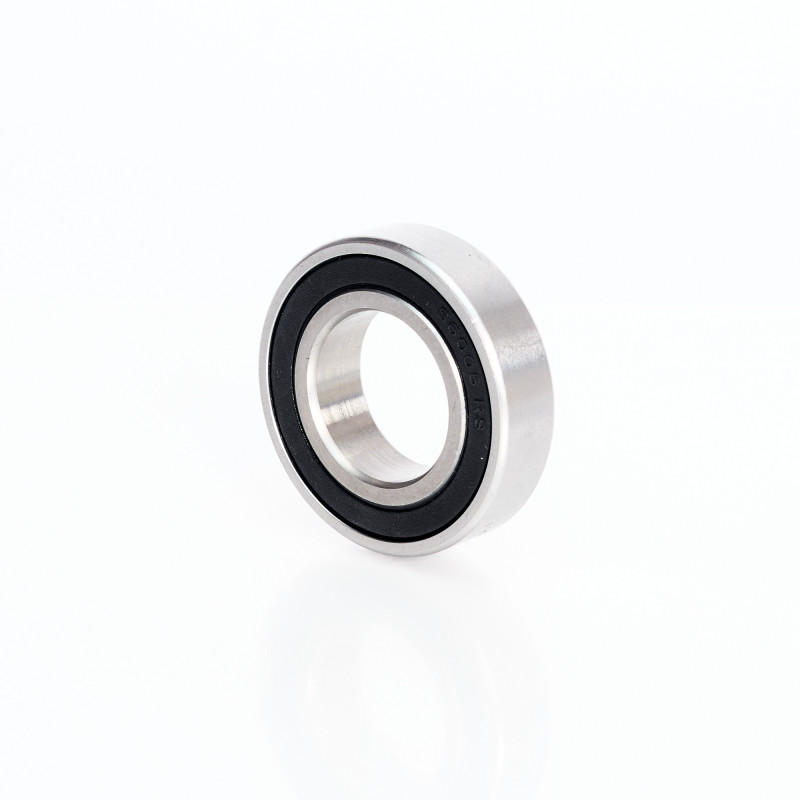 SS6005-2RS