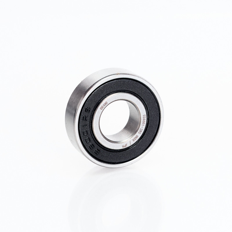 SS6001-2RS INOX