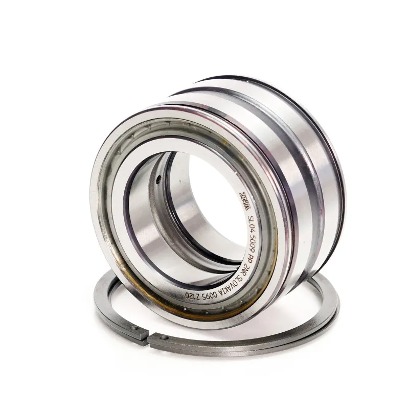 SL045009-PP-2NR