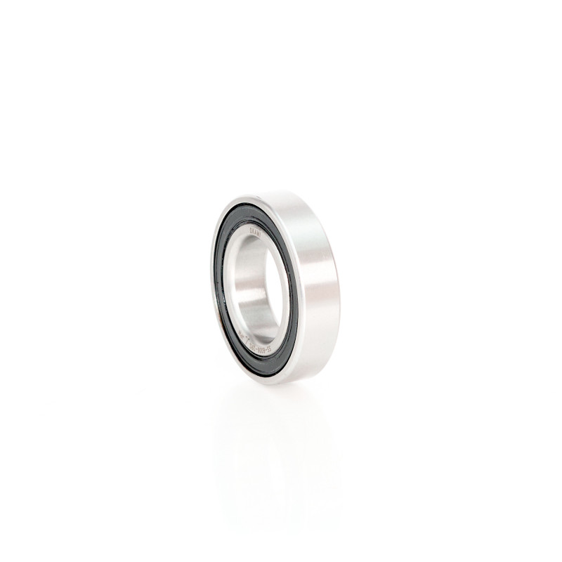 SS6006-2RSR-HLC INOX