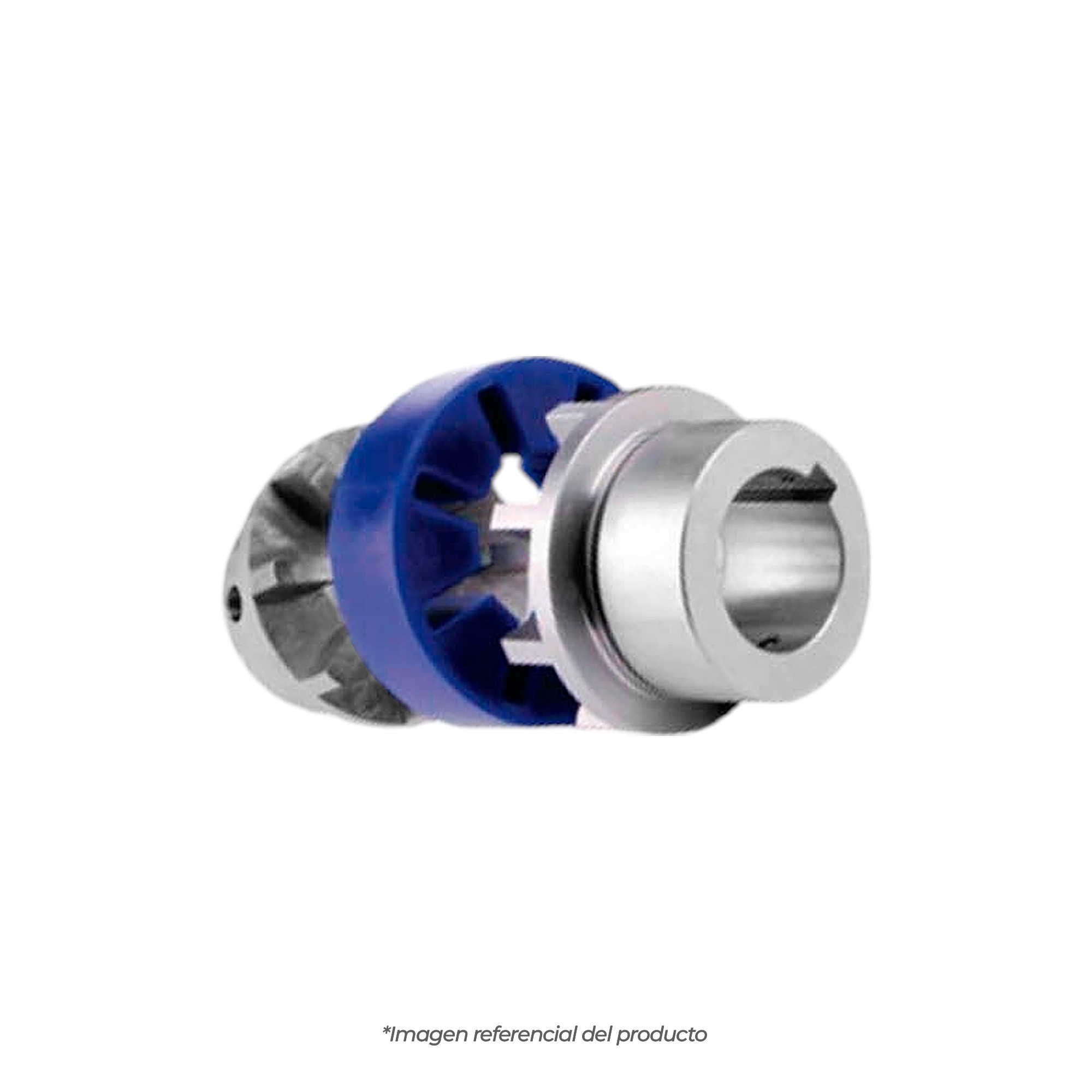 1050-CP-SOLIDXSOLID-HZ IN