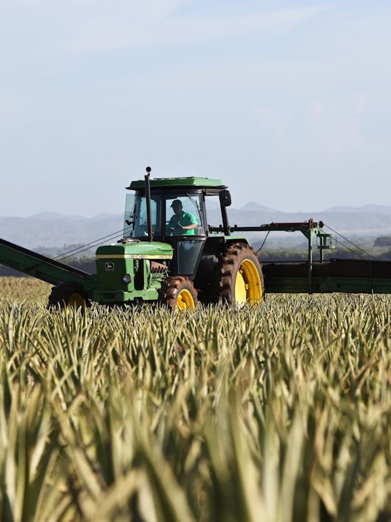 Tractor trabajando en el campo